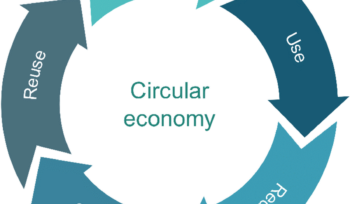 Notes about the circular economy – The interesting case of electric car battery manufacturers